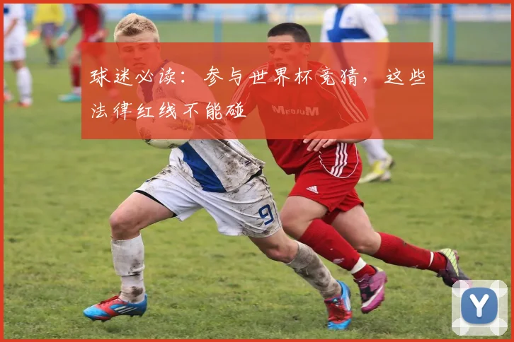 球迷必读：参与世界杯竞猜，这些法律红线不能碰