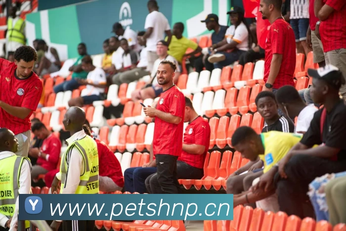 星空体育app官网登录发展历程